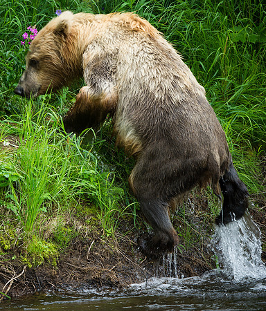 I hate getting wet.