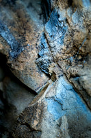 Geologic