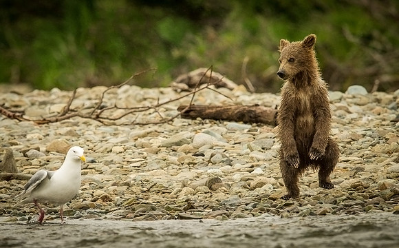 Want to dance?
